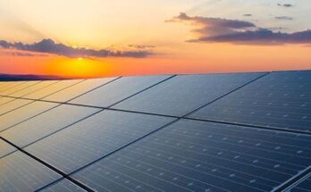 From Plants to Pumps: Haryana's Ambitious Plan for 6,000 MW Solar Power by 2030"